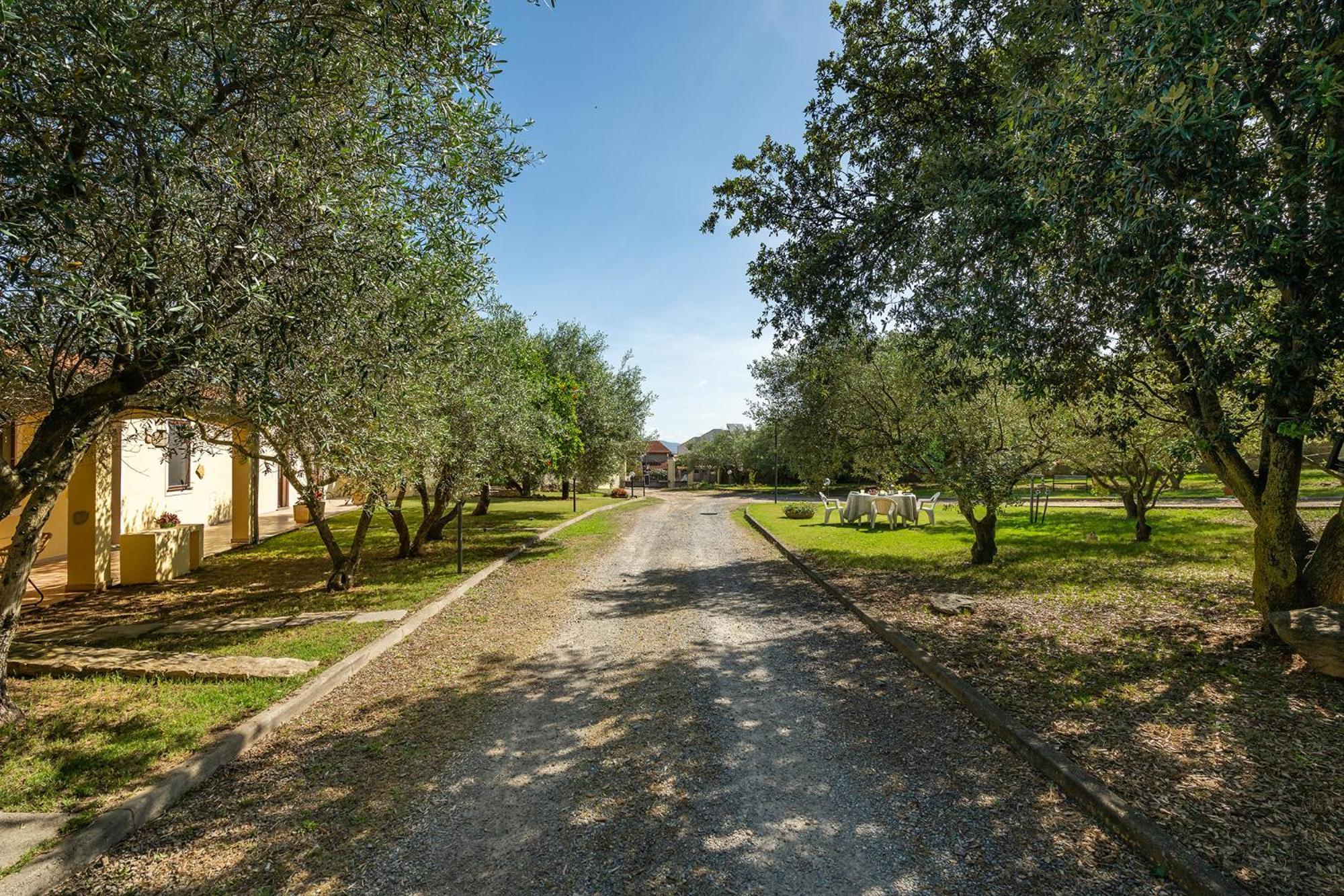 Residenza Parco Degli Ulivi Villa Villamassargia Ngoại thất bức ảnh